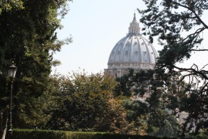 IMG_4559