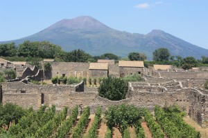 IMG_4902